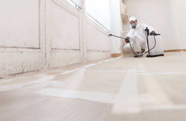 24/7 Emergency Mold Inspection experts in Carrsville, VA