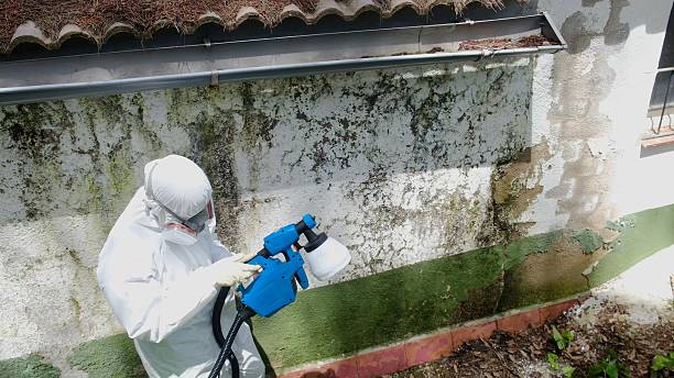 Trusted Crawl Space Mold Removal service in Carrsville, VA - Cheap Mold Removal